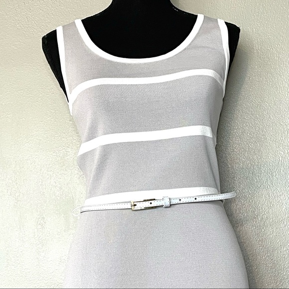 CARMEN Marc Valvo | Gray White Striped Sleeveless Sheath Dress ~Small - Picture 3 of 10